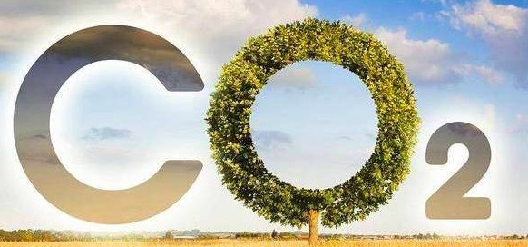 發(fā)揮示范引領(lǐng)作用 推動綠色建材發(fā)展